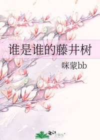 《谁是谁的藤井树》