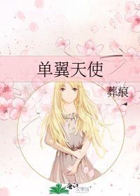 《单翼天使》