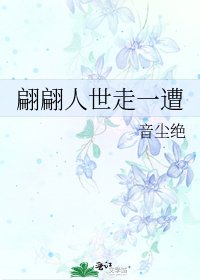 《翩翩人世走一遭》