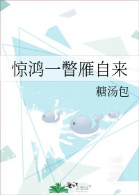 《惊鸿一瞥雁自来》