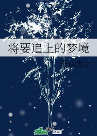 《将要追上的梦境》