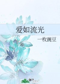 《爱如流光》
