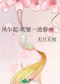 《风乍起-吹皱一池春水》