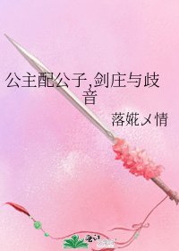 公主配公子,剑庄与歧音