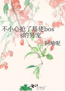 《不小心抢了基佬boss的男宠》