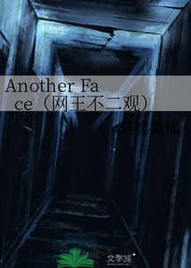 《Another Face(网王不二观)》