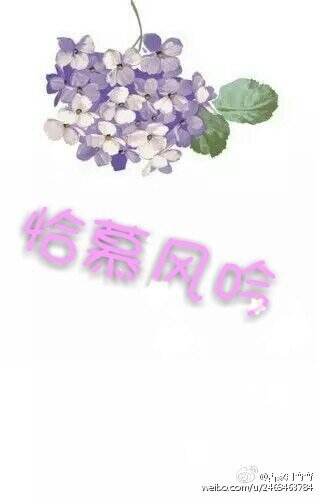 恰慕风吟