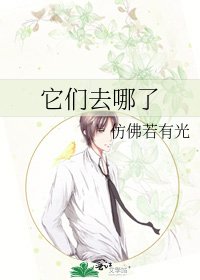 《它们去哪了》