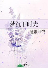 《梦沉旧时光》