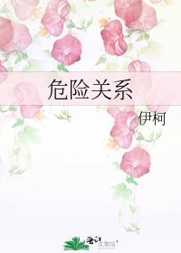 《危险关系》