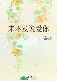 《来不及说爱你》