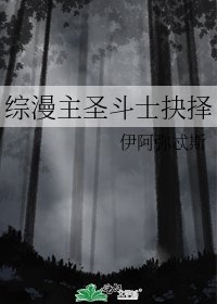 《综漫主圣斗士抉择》