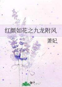 红颜如花之九龙附风
