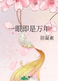 一眼即是万年