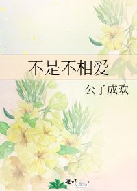不是不相爱