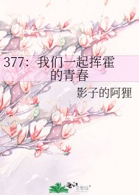 《377:我们一起挥霍的青春》