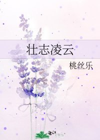 《壮志凌云》