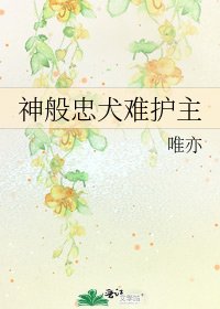 《神般忠犬难护主》