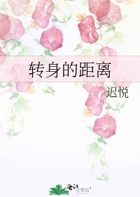 《转身的距离》