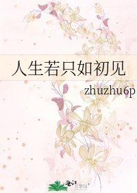《人生若只如初见》