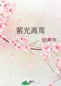 《萦光离鸾》