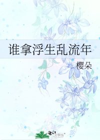 《谁拿浮生乱流年》
