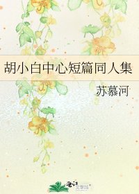 《胡小白中心短篇同人集》