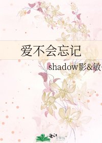 爱不会忘记