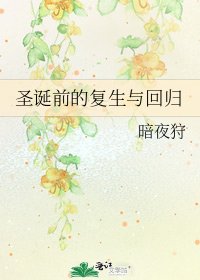 《圣诞前的复生与回归》