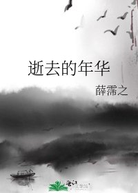 《逝去的年华》