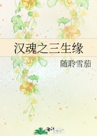 《汉魂之三生缘》