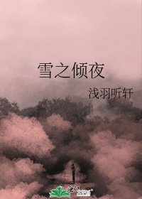 《雪之倾夜》