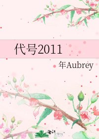 代号2011