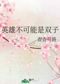 《英雄不可能是双子》