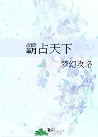 《霸占天下》