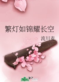 《繁灯如锦耀长空》
