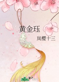 《黄金珏》