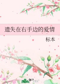 《遗失在右手边的爱情》