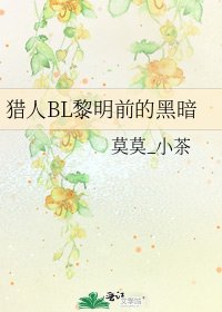 《猎人BL黎明前的黑暗》