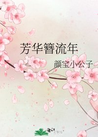 芳华簪流年