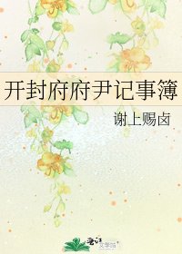 开封府府尹记事簿