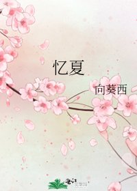 《忆夏》