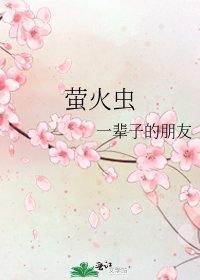 萤火虫