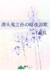 《滑头鬼之孙の暗夜凉歌》