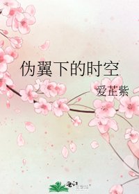 《伪翼下的时空》