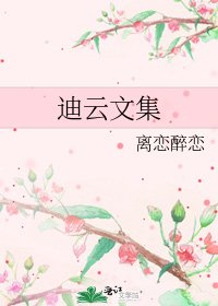 迪云文集