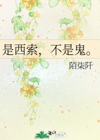 《是西索,不是鬼。》