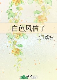 《白色风信子》