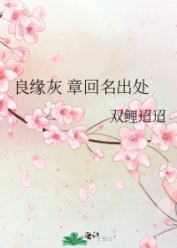 《良缘灰 章回名出处》
