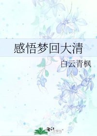《感悟梦回大清》